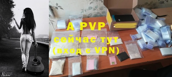 PSILOCYBIN Майский