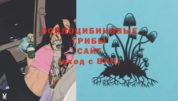 ALPHA PVP Магас