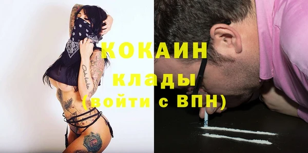 PSILOCYBIN Майский