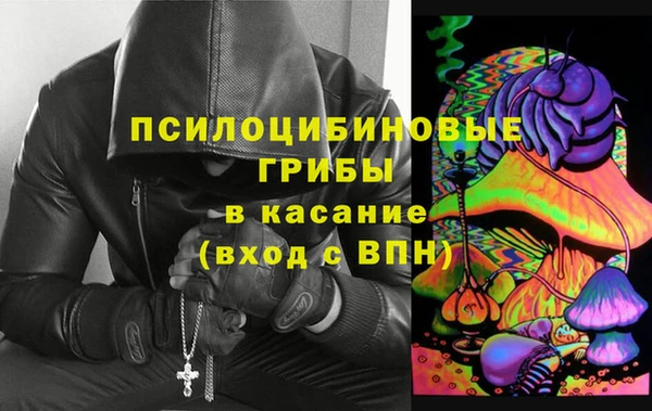 PSILOCYBIN Майский