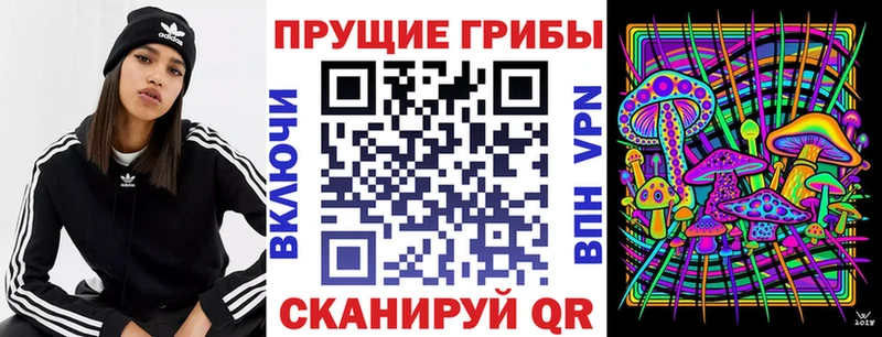 Галлюциногенные грибы прущие грибы  продажа наркотиков  Гаврилов Посад 